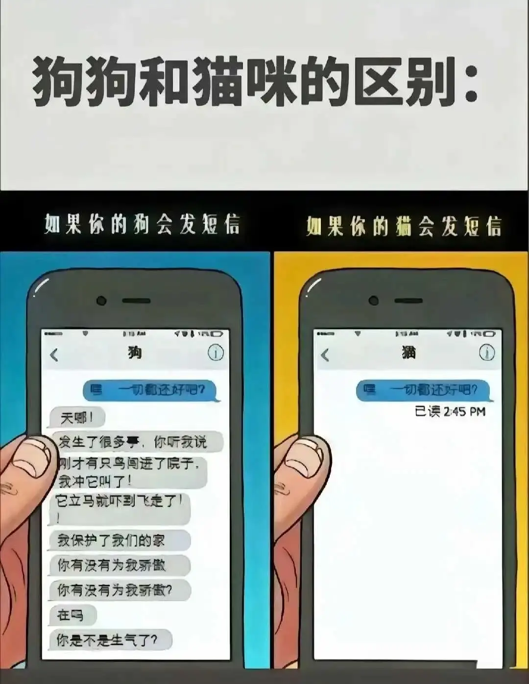 【西檬之家-字母圈新人如何深度理解M角色】