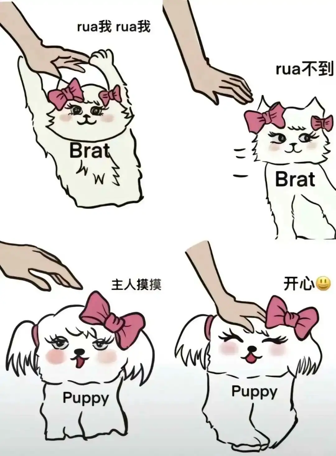 【西檬之家】BDSM新人入圈指南：读懂核心术语与安全原则