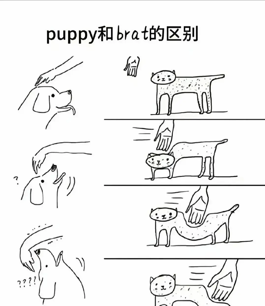 【西檬之家】小圈是什么意思？字母圈新人入门百科