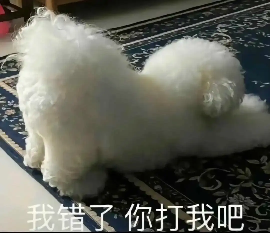 西檬之家-字母圈女王角色指南