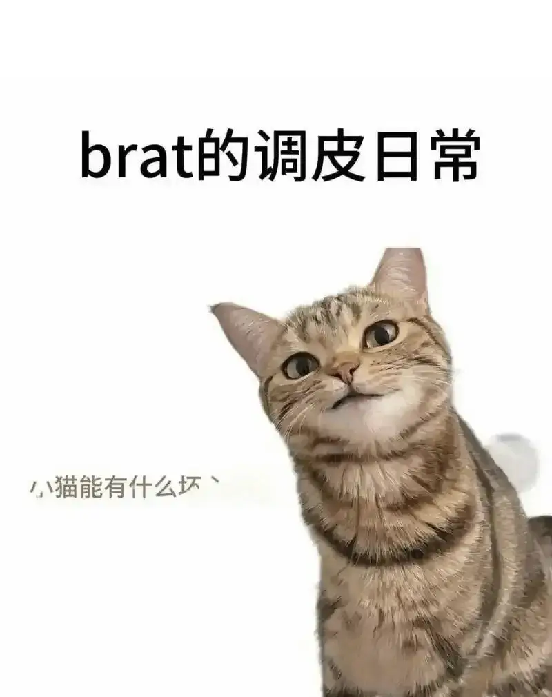 西檬之家-新人入圈指南：字母圈S属性全解析
