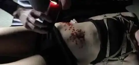 西檬之家-字母圈新人入圈指南：从BDSM基础知识到安全互动原则