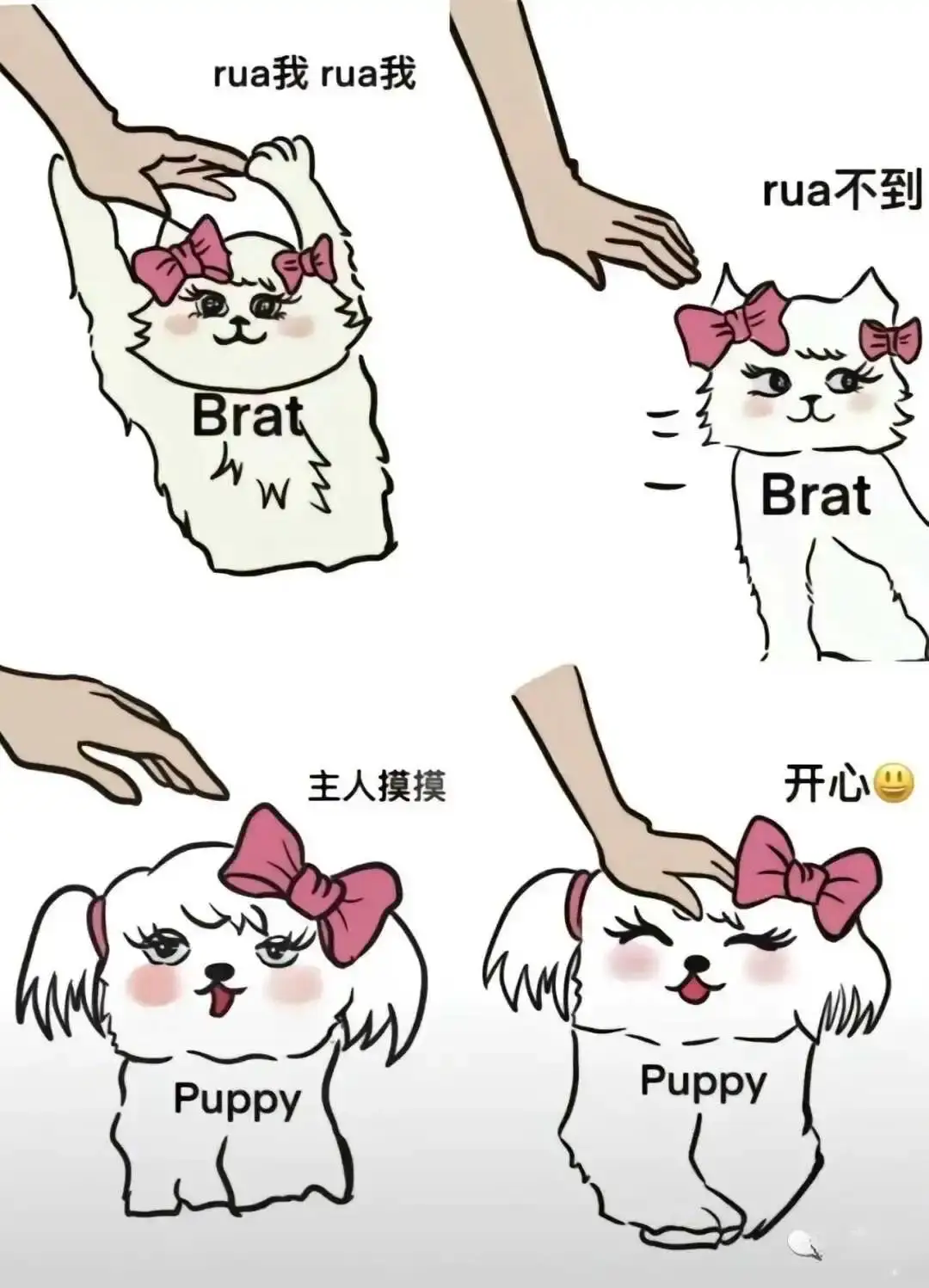 西檬之家-字母圈S倾向认知指南