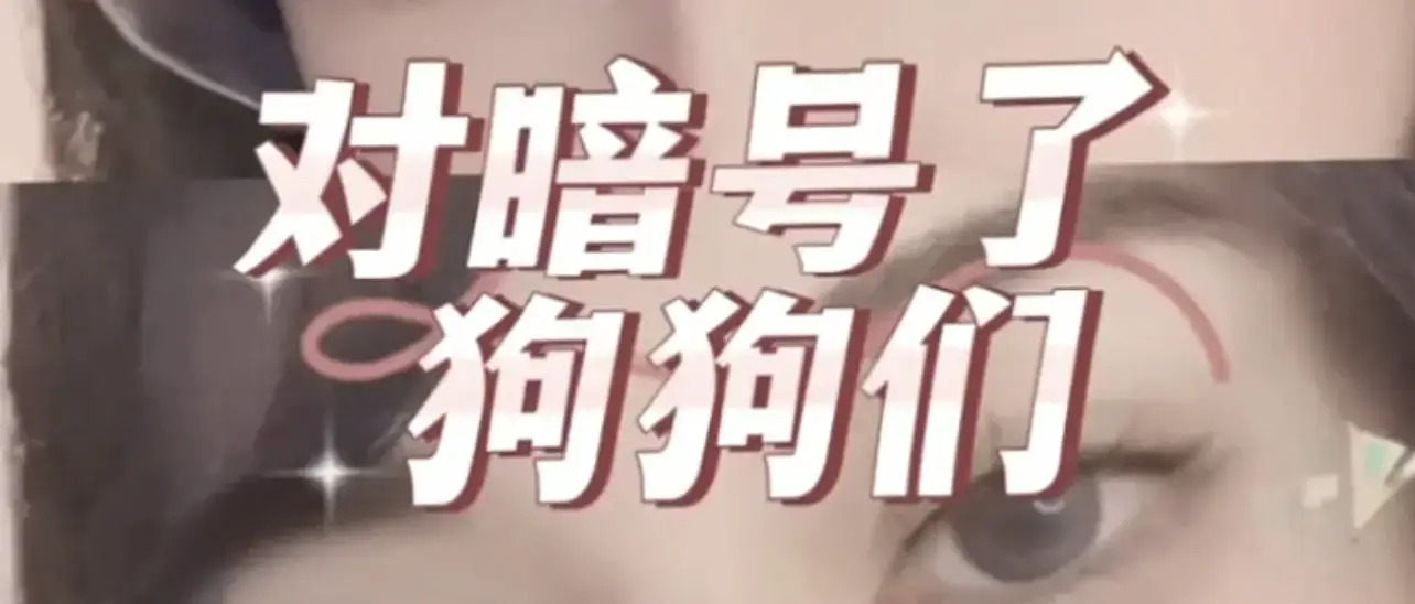 【西檬之家】K8是什么？字母圈宠物角色扮演指南