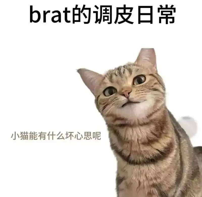 【西檬之家】字母圈Aftercare全解析：深度疗愈与信任重建指南