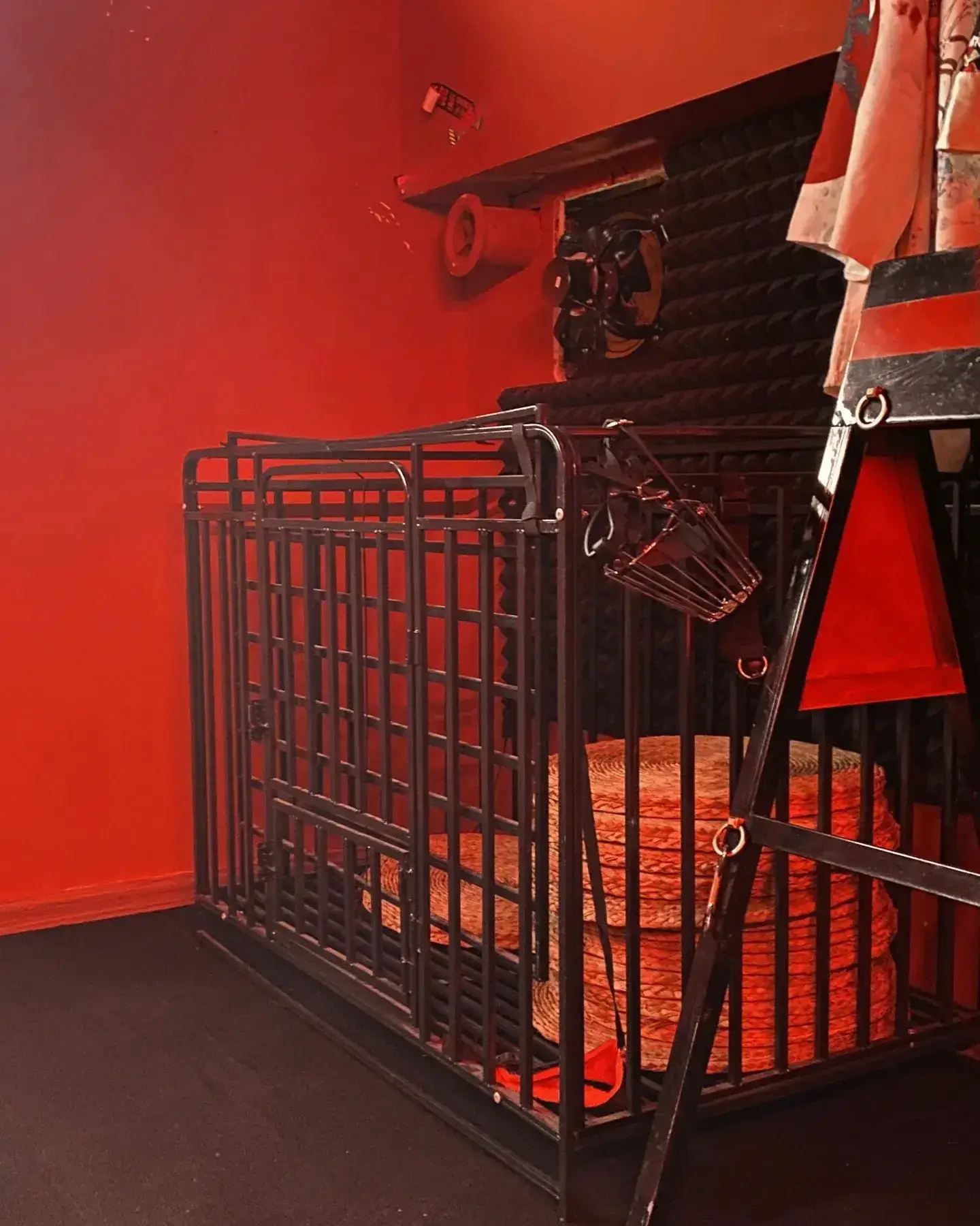 西檬之家-字母圈新人入圈：BDSM亚文化权威指南